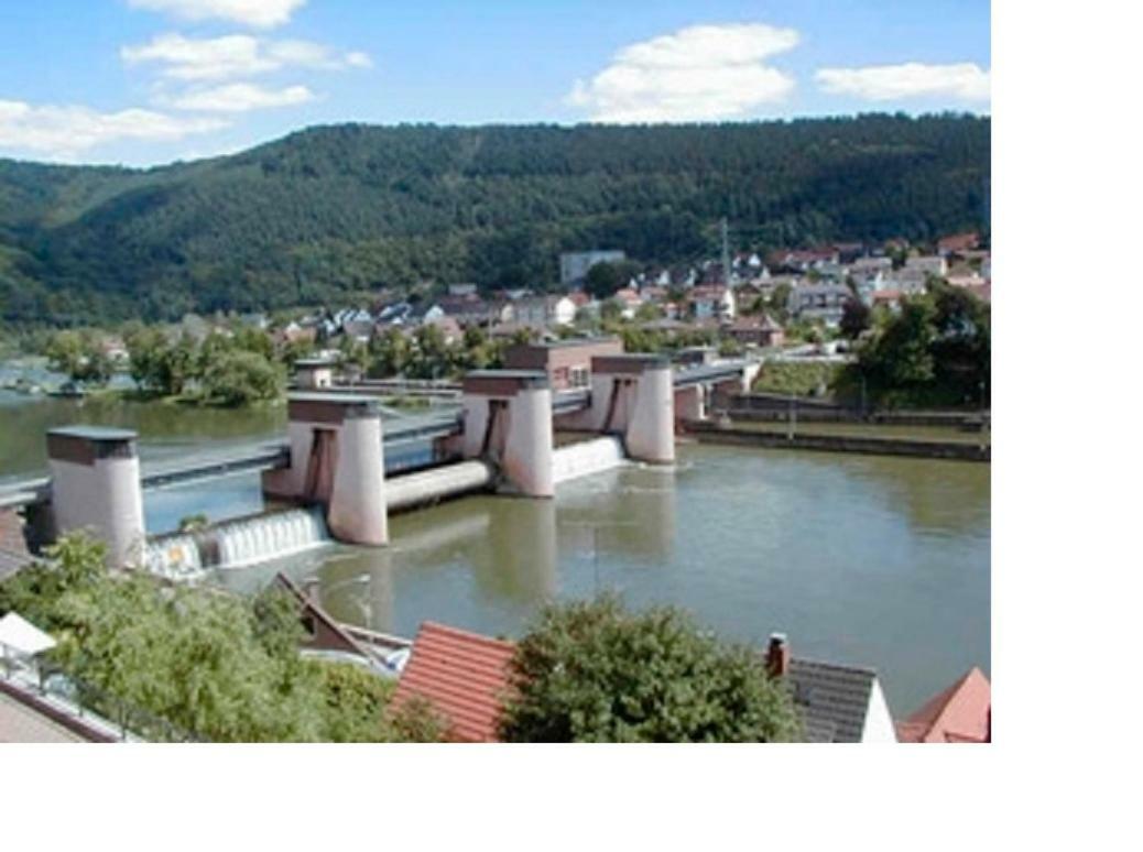 Ferienwohnung Christel Hirschhorn-Neckar Exterior photo